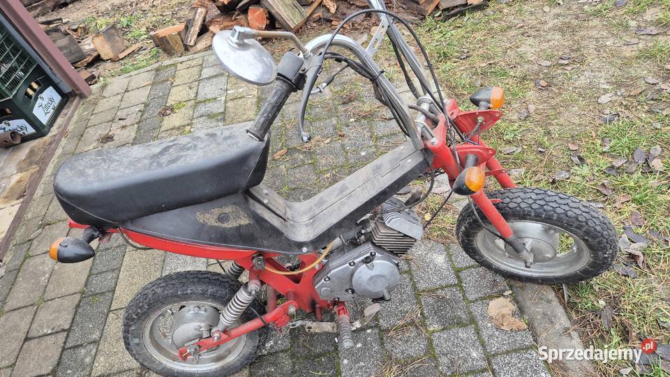 Motorynka stella Hryniewicze