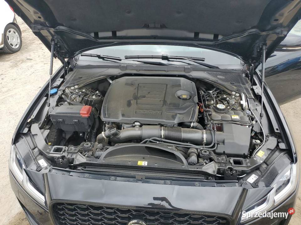 2023 JAGUAR XF RDYNAMIC SE Samochody osobowe Częstochowa