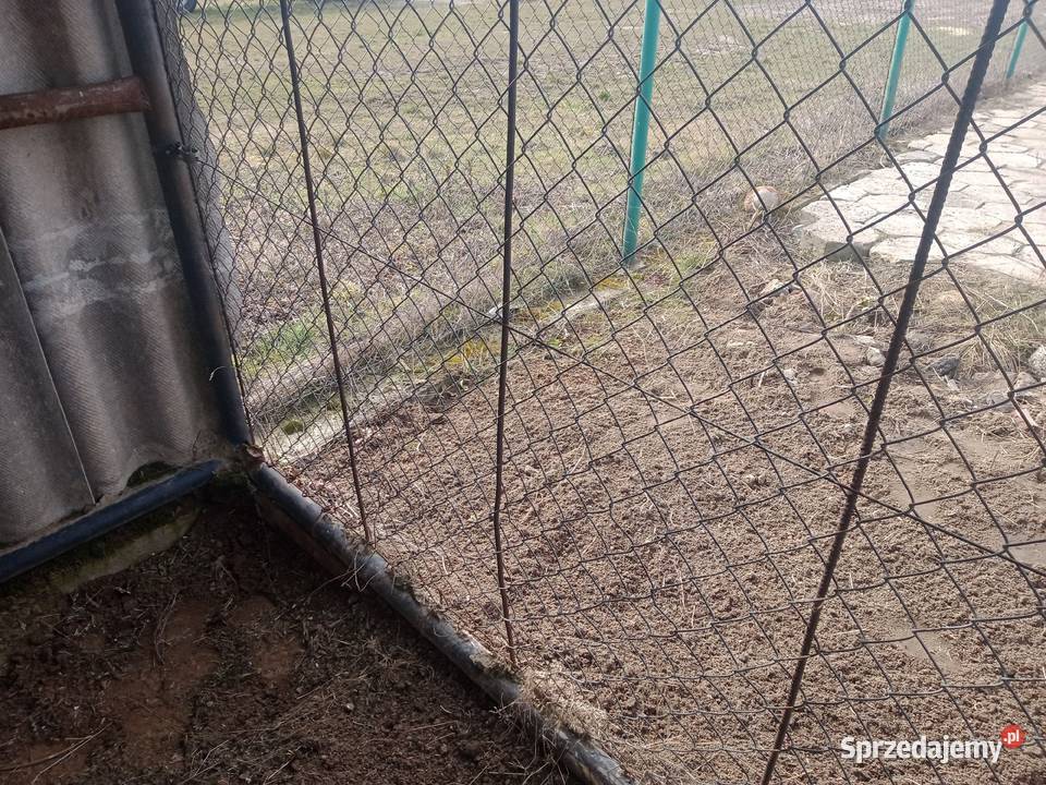 Kojec psa 255x455x185m klatka buda ocieplona Probostwo Górne