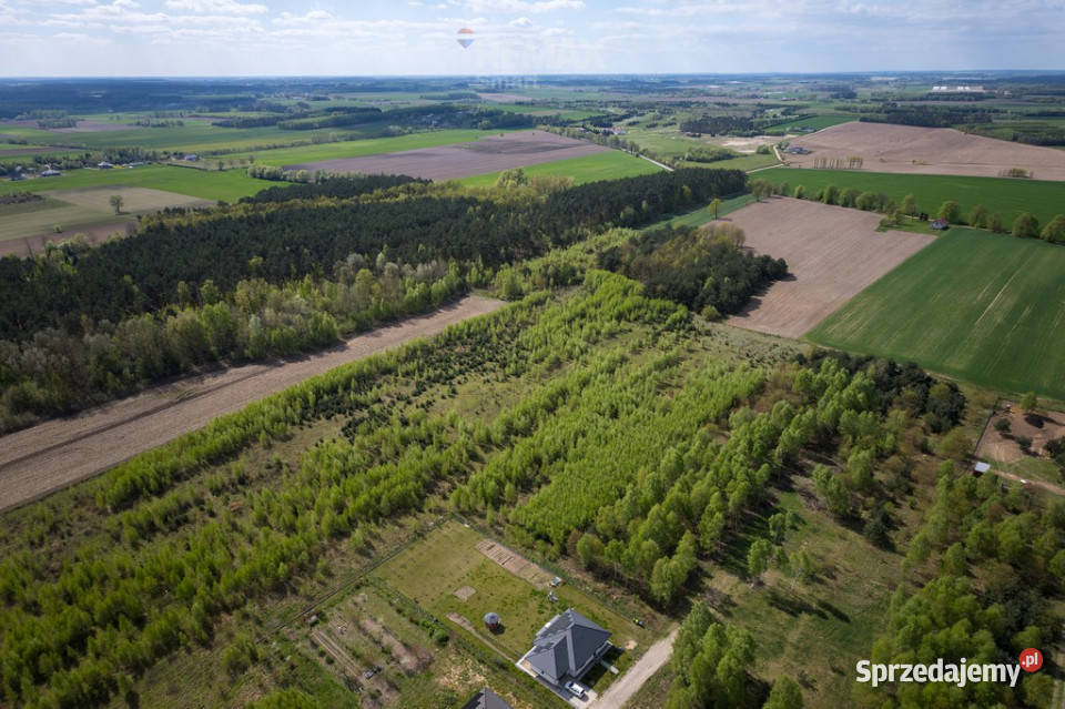 Działka budowlana w Błędowie 150zł/m2 mazowieckie Błędowo sprzedam