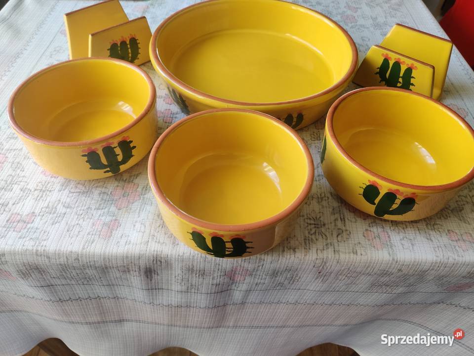Ceramika wzót kaktusy Myszków sprzedam