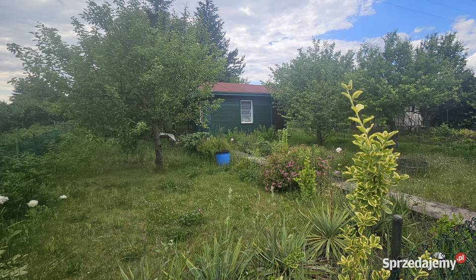 Zielona Działka ROD Ariadna Dąbrowskiego Łódź