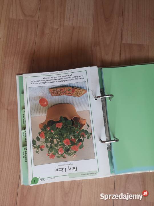 Kwiaty w domu Poradniki, albumy i reportaże dolnośląskie Wałbrzych