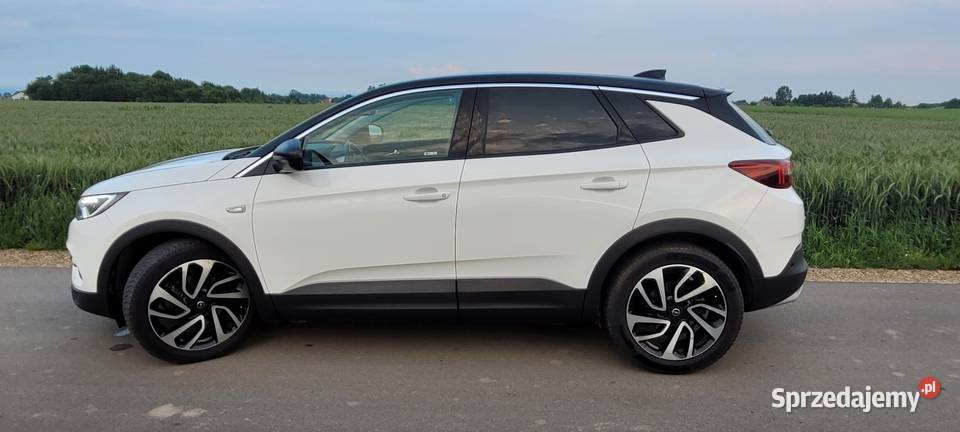 Opel Grandland X Ultimate wymianie rozrządu immobilizer Ignaców