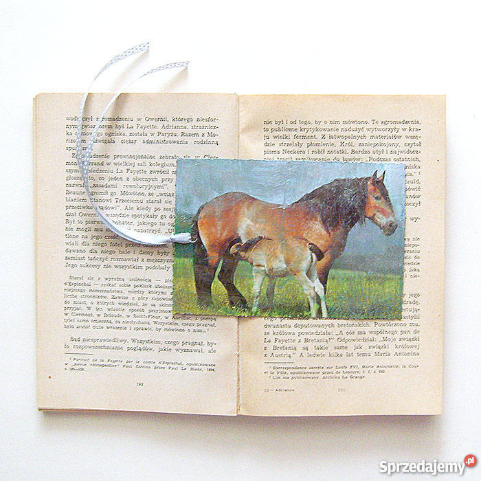 konie zakładka do ksiązki zakladka z końm śląskie