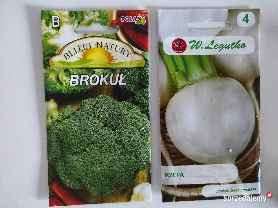 Nasiona różne fasola X2 dynia oberżyna brokuł Płock sprzedam