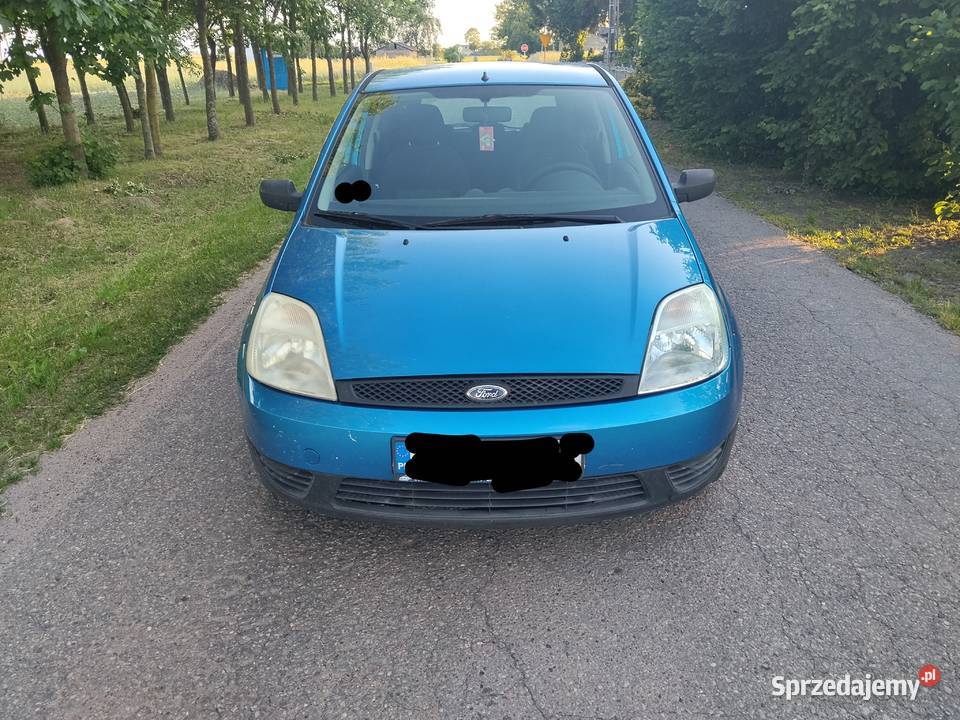 Ford Fiesta 13