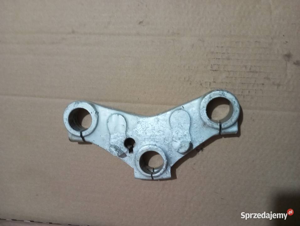 Wsk połka dolna z rodziny ptaki oryginalna nie Susz