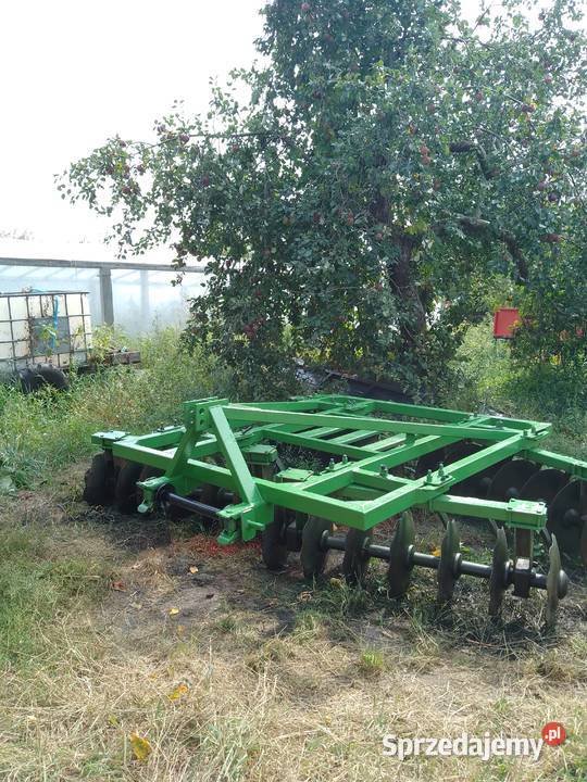 Talerzówka Augustów