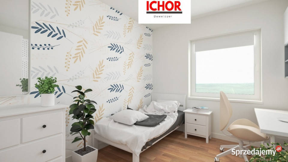 Dom Starcza Brzozowa 30 ICHOR Deweloper