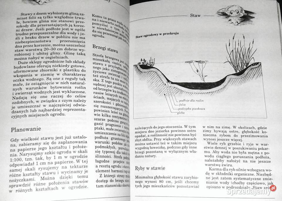Pomysłowe urządzanie ogrodu Susanne Bruns lubelskie Chełm