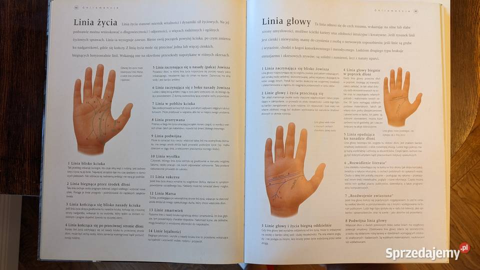 Wielka Encyklopedia Wiedzy Tajemnej Szczecin