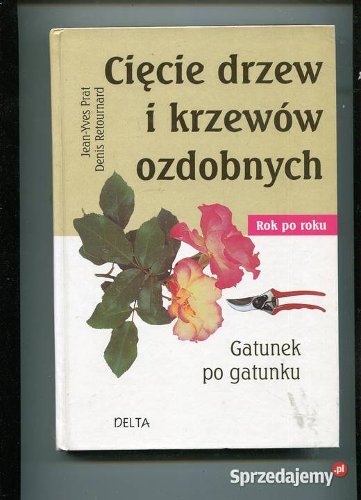 Cięcie drzew i krzewów ozdobnych roku gatunek Pozostałe zachodniopomorskie Szczecin sprzedam