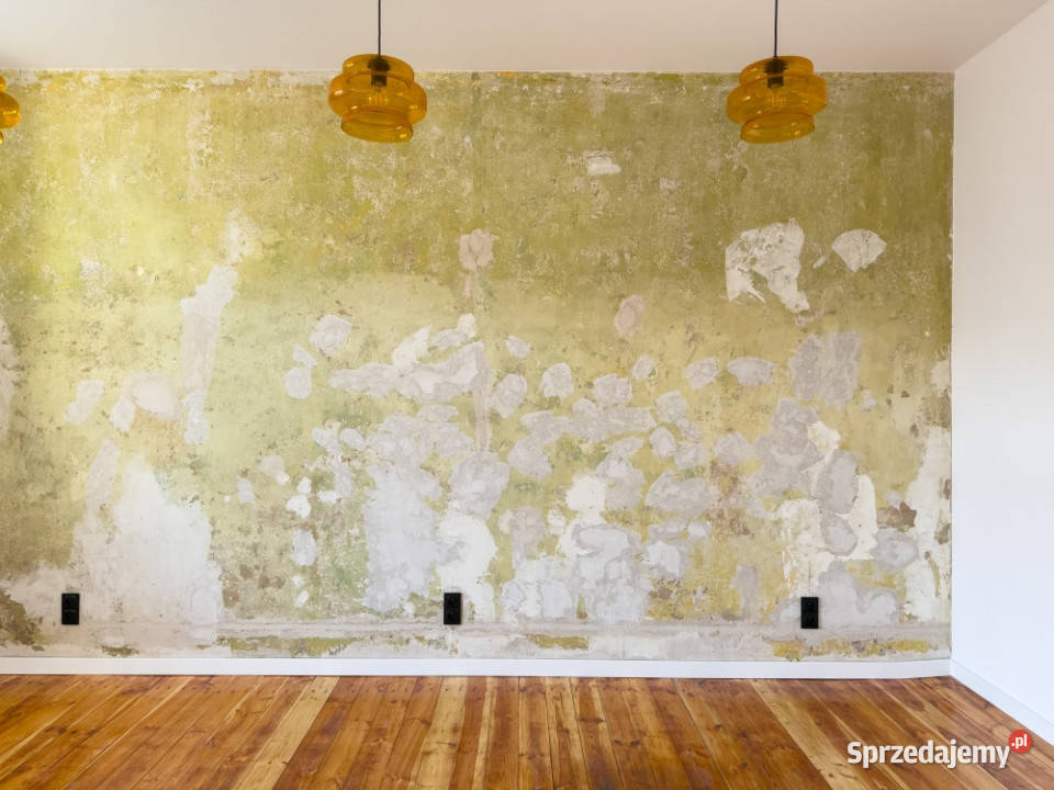 Nowe Drewniana Podłoga Parking Oficyna Piwnica Poznań sprzedam