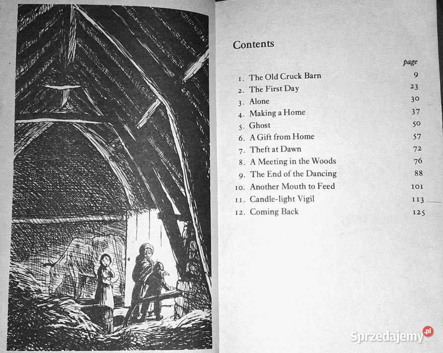 Children of Winter Berlie Doherty lubelskie sprzedam