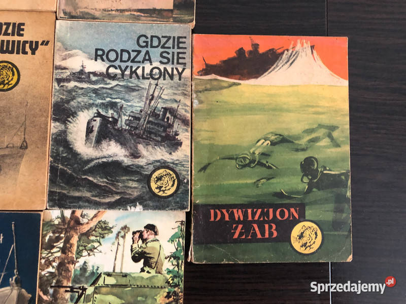 13 tygrysów Pozostałe Krosno