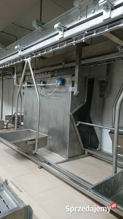 Linia do transportu jelit wielkopolskie Raków