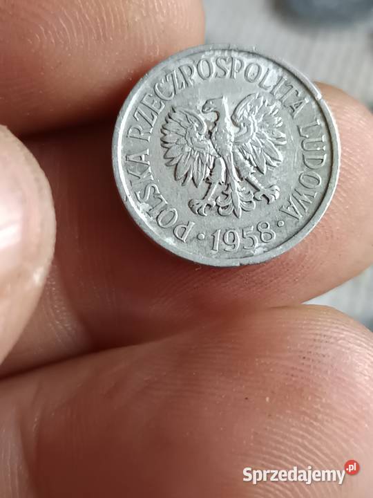 Sprzedam 5 groszy 1958 nn Numizmatyka Chełm