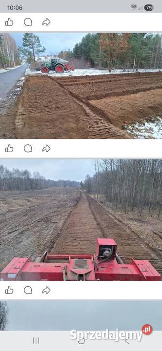 Mulczowanie Wycinka drzew Czyszczenie działek kujawsko-pomorskie Inowrocław