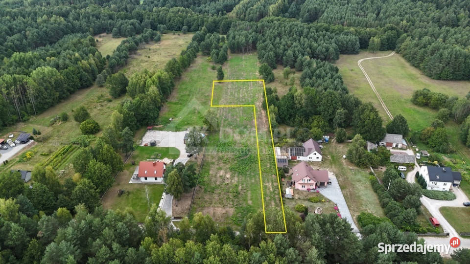 Działka na sprzedaż 910 m2 Gałęzice gm Piekoszów asfalt sprzedam