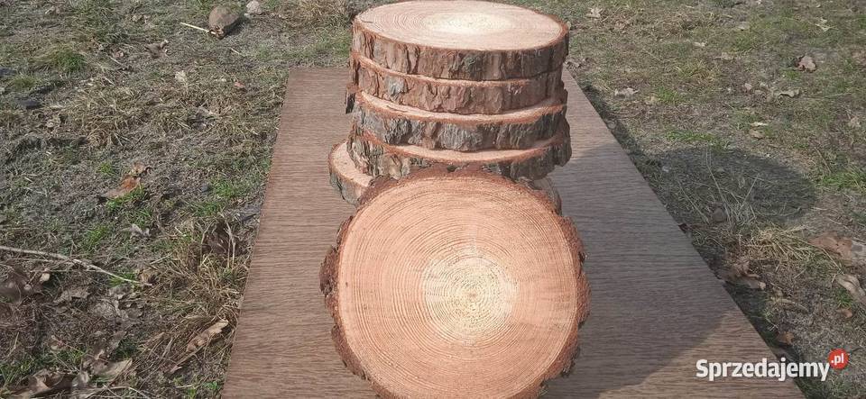 Plastry drewna 20sztuk 2025 dekoracje na stroiki Pozostałe Warszawa