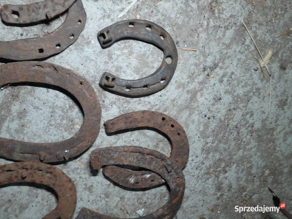 Podkowa podkowy na szczęście Czajków sprzedam