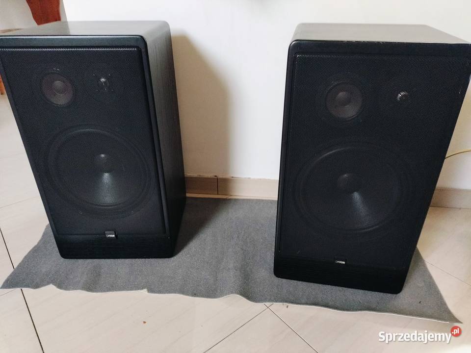 Canton CT1000 Rurzyca