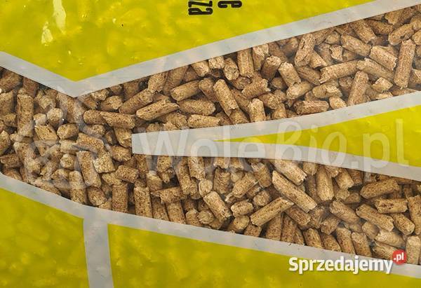 Pellet drzewny Energy Gdańsk