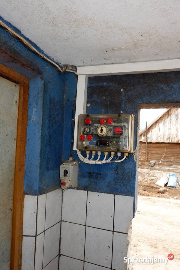 Schladzalnik do mleka Wojtokiemie