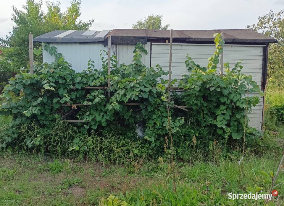 Działka ogrodowa ROD Nowa sól lubuskie