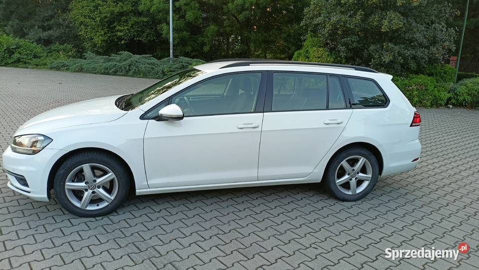 Volkswagen Golf 7 16tdi 2018 Rok produkcji 2018 Jastrzębie-Zdrój