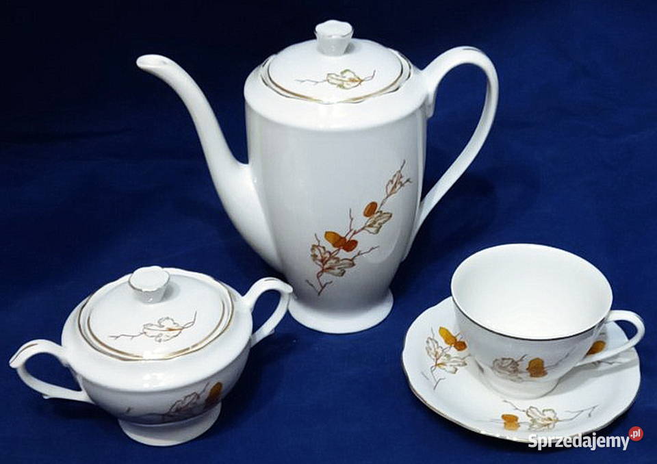 Zestaw porcelanowy Włocławek mazowieckie Radom