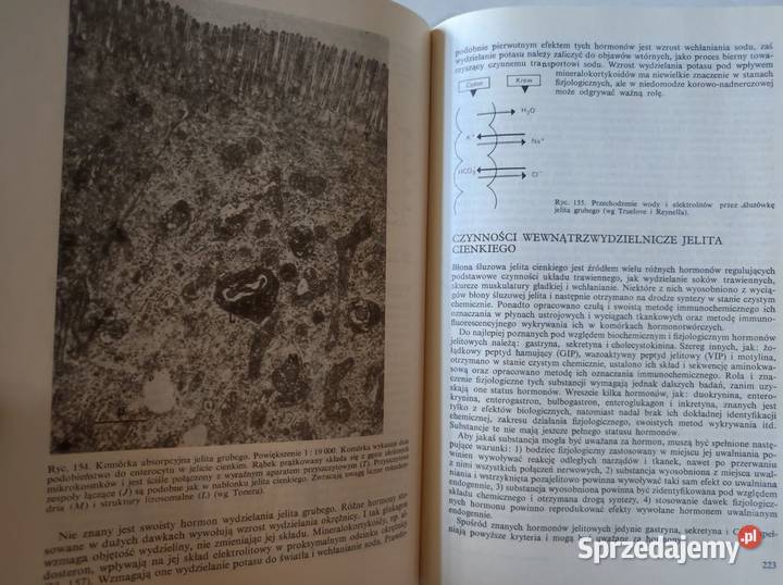 Fizjologia układu trawiennego Konturek Stanisław Kielce