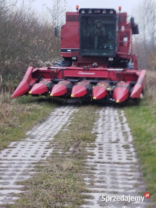 Kombajn zbożowy rotorowy Case 1640 heder 43 m Rejowiec Fabryczny