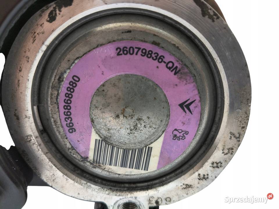 POMPA WSPOMAGANIA Peugeot 206 11 14 8V 20 HDI lubelskie Chełm