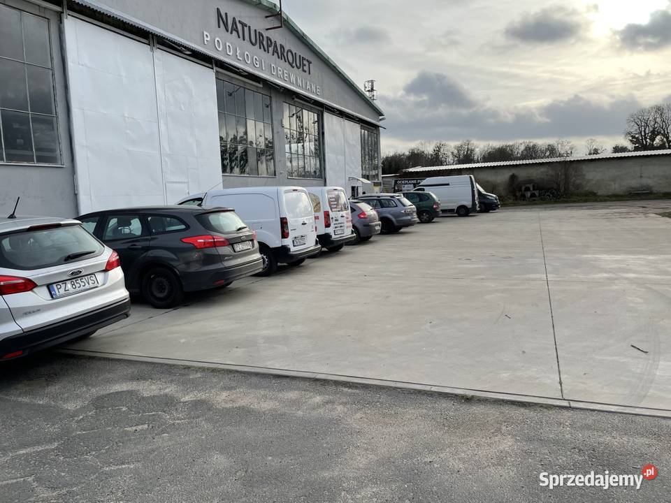 Parkiet przemysłowy dąb mozaika 14x15x250 wielkopolskie Poznań