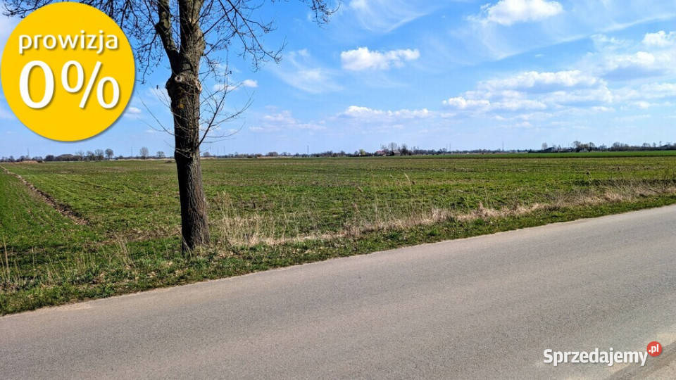 Grunt 449 ha z koncepcją 5 domów Jenin 0