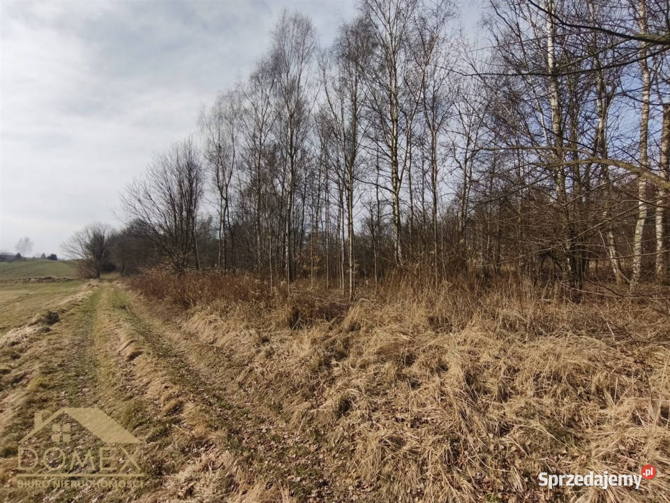 Działka Radlin 3467m2 Wodzisław Śląski