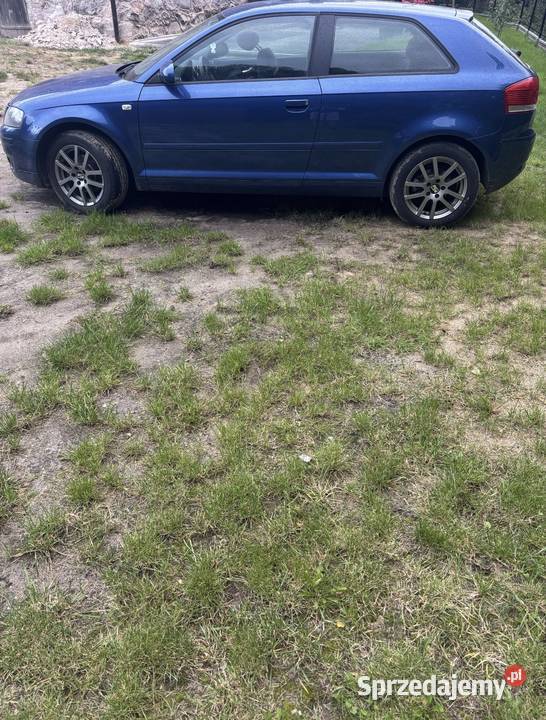 Audi a3 8p 16 mpi coupe Rok produkcji 2007 Boguchwały