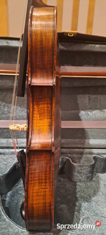 Skrzypce Stentor Verona 44