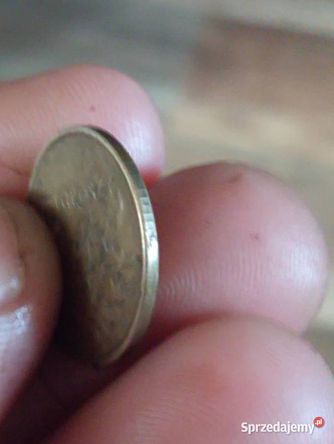 Sprzedam monete 5 groszy 1999 r Chełm