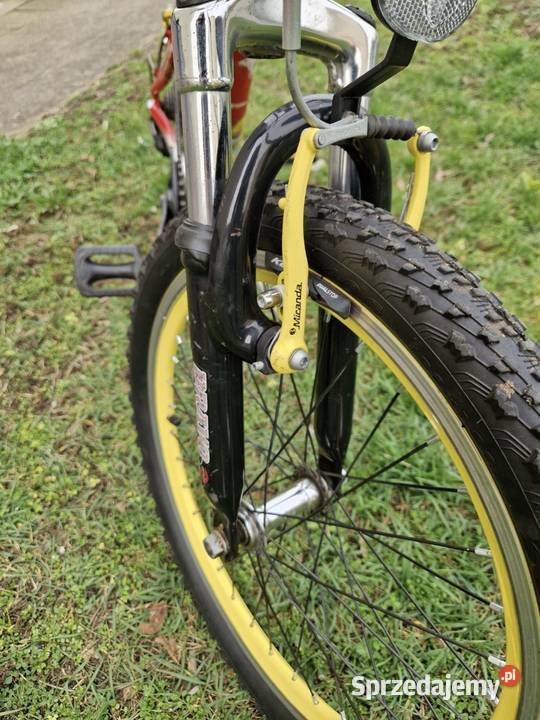 Rower Arkus Evolution Piła