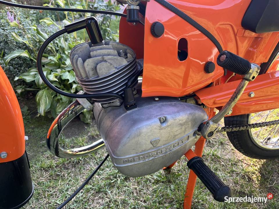 Komar zarejestrowany nieuszkodzony