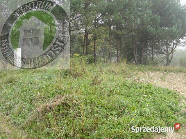 Działkę sprzedam 2400m2 Nowy Sącz