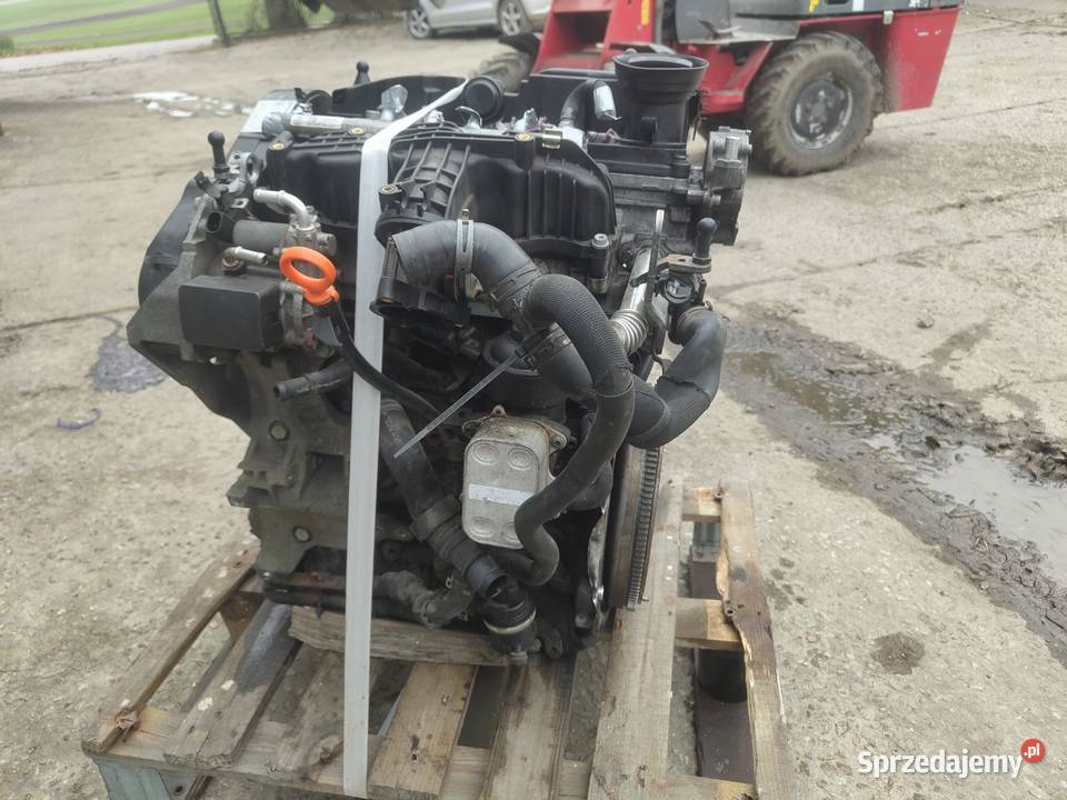 Silnik volkswagen polo 2010 16TDI CAYB Blok silnika Silniki i osprzęt świętokrzyskie Jędrzejów