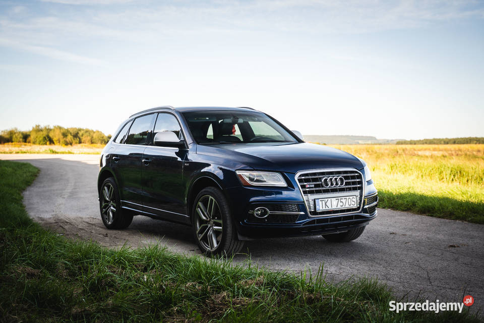 Audi SQ5 30 V6T Premium Plus benzyna świętokrzyskie Piekoszów sprzedam