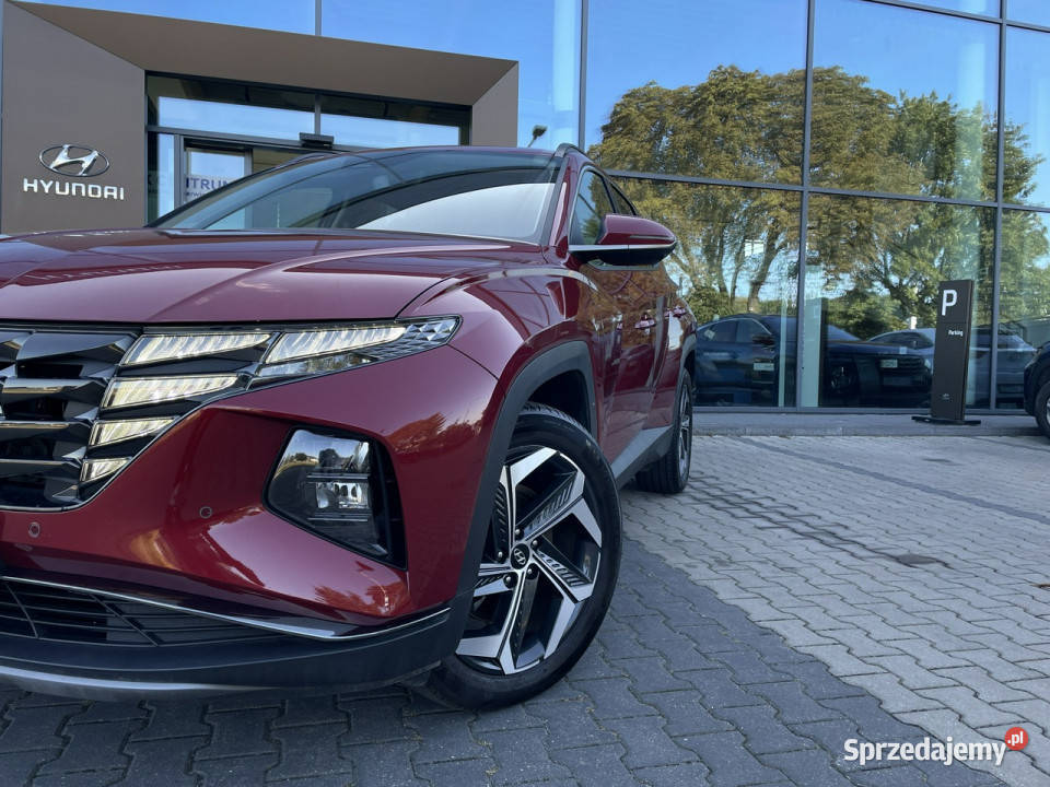Hyundai Tucson 16TGDI HEV Platinum 230 4WD Salon Piotrków Trybunalski
