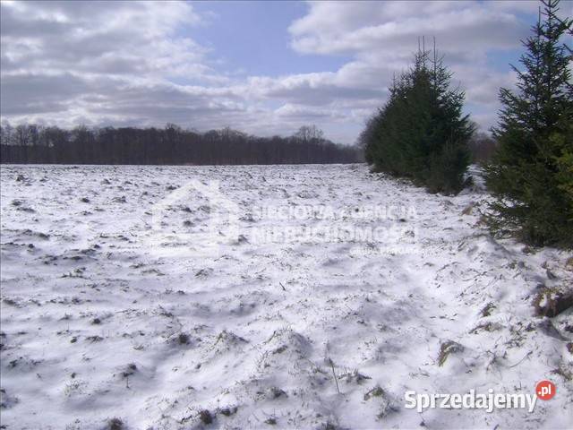 sprzedaży działki 8200 metrów Żarnowska