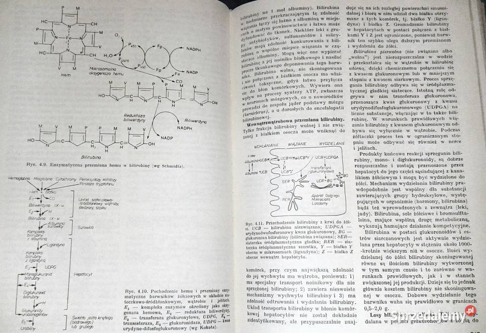 Nauka o chorobach wewnętrznych Tom 6 Witold Chełm