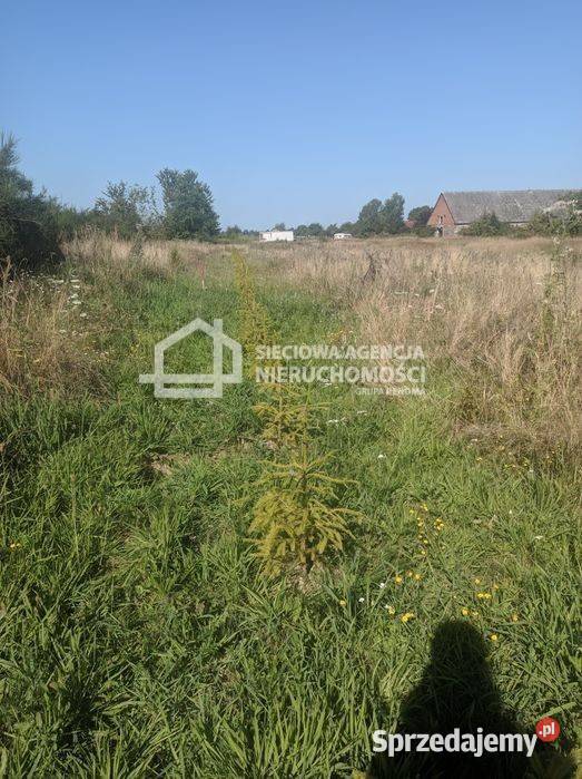 Grunt 1313m2 Mierzyno